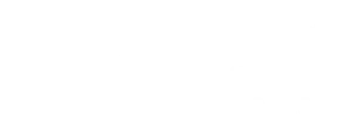 NLE Logo